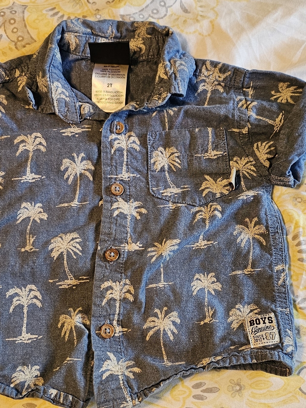 Boys Palm-Print Button-Down Shirt - Blue - 2T